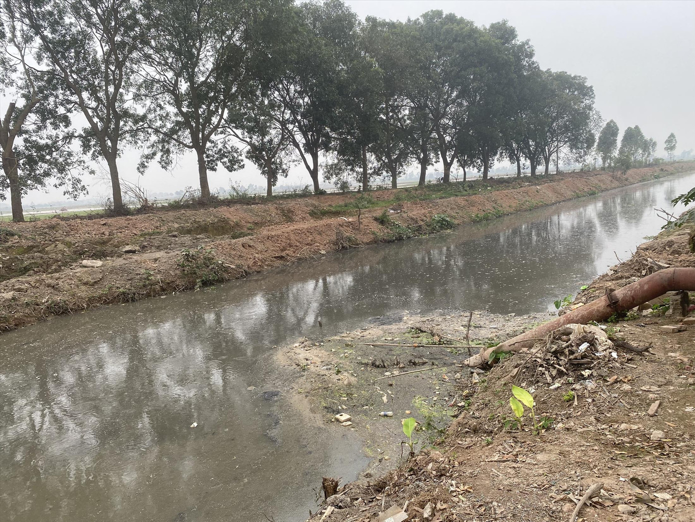 Dòng kênh nằm cạnh trạm bơm Thụy Đức (xã Liên Hiệp, Phúc Thọ) bị ô nhiễm nặng nề bởi nước thải từ các cơ sở sản xuất sắn, vải, thép, tái chế phế liệu của xã Sài Sơn (Quốc Oai)