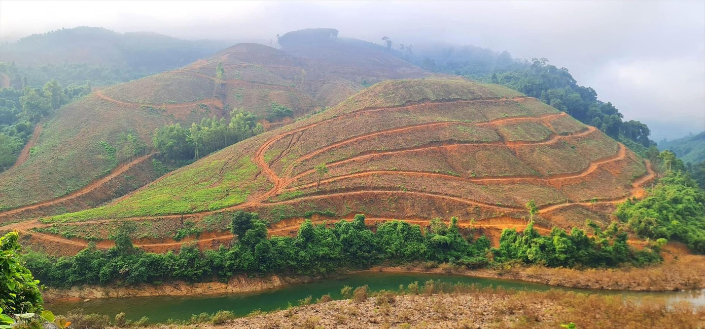 Đất rừng bị lấn chiếm tràn lan gây ra nhiều hệ lụy Đất rừng bị lấn chiếm tràn lan gây ra nhiều hệ lụy
