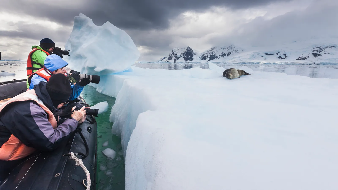 Hơn 100.000 du khách sẽ đến thăm Nam Cực trong mùa này