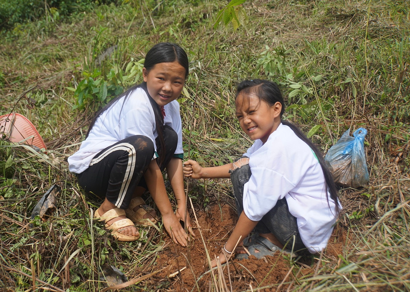 Nhiều em nhỏ người dân tộc H’Mông cũng vui vẻ tham gia trồng rừng Nhiều em nhỏ người dân tộc H’Mông cũng vui vẻ tham gia trồng rừng