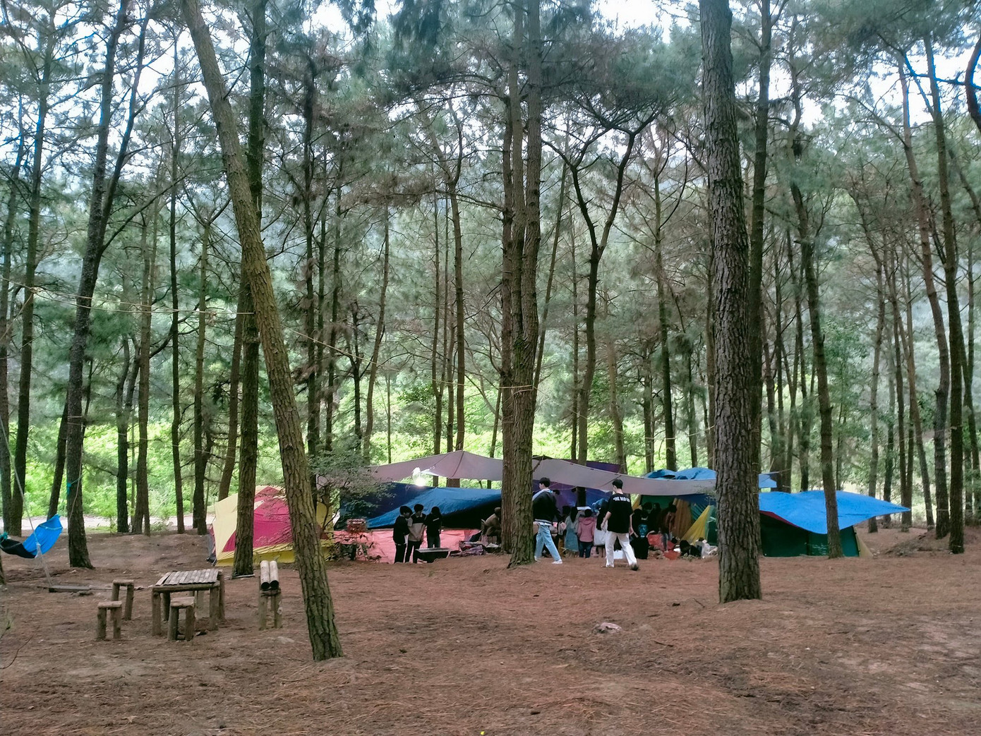 Có những khu dày đặc trại nghỉ cuối tuần Có những khu dày đặc trại nghỉ cuối tuần