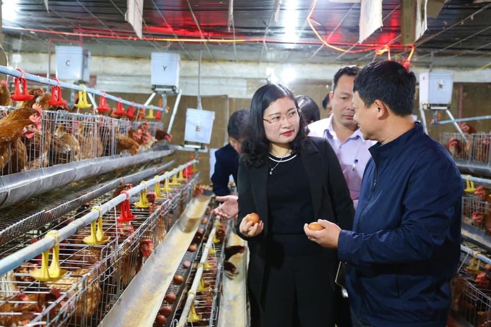 Lãnh đạo huyện Thạch Hà (Hà Tĩnh) kiểm tra mô hình chăn nuôi tại xã nông thôn mới kiểu mẫu