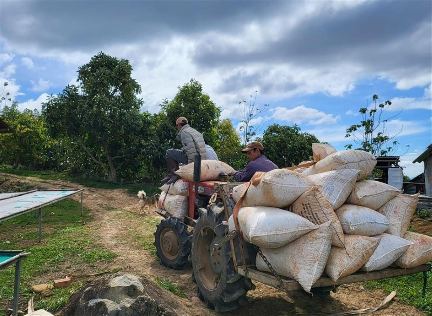 Công ty Real Bean Coffee xoay xở bằng cách chốt đơn theo thời điểm. Ảnh: NVCC Công ty Real Bean Coffee xoay xở bằng cách chốt đơn theo thời điểm. Ảnh: NVCC