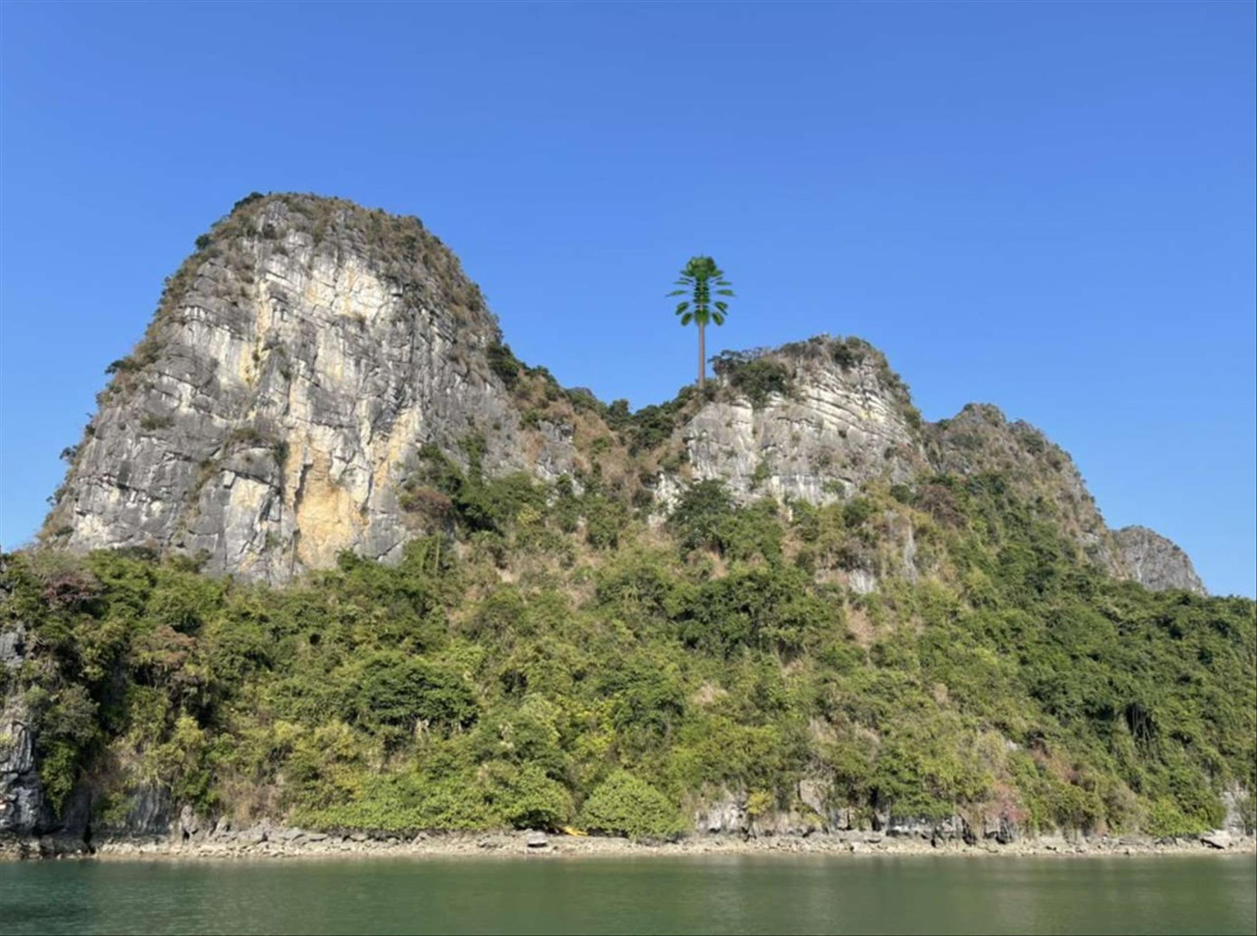 Ảnh phối cảnh trạm BTS với cột anten được ngụy trang dạng cây cọ ở khu vực làng chài Vung Viêng