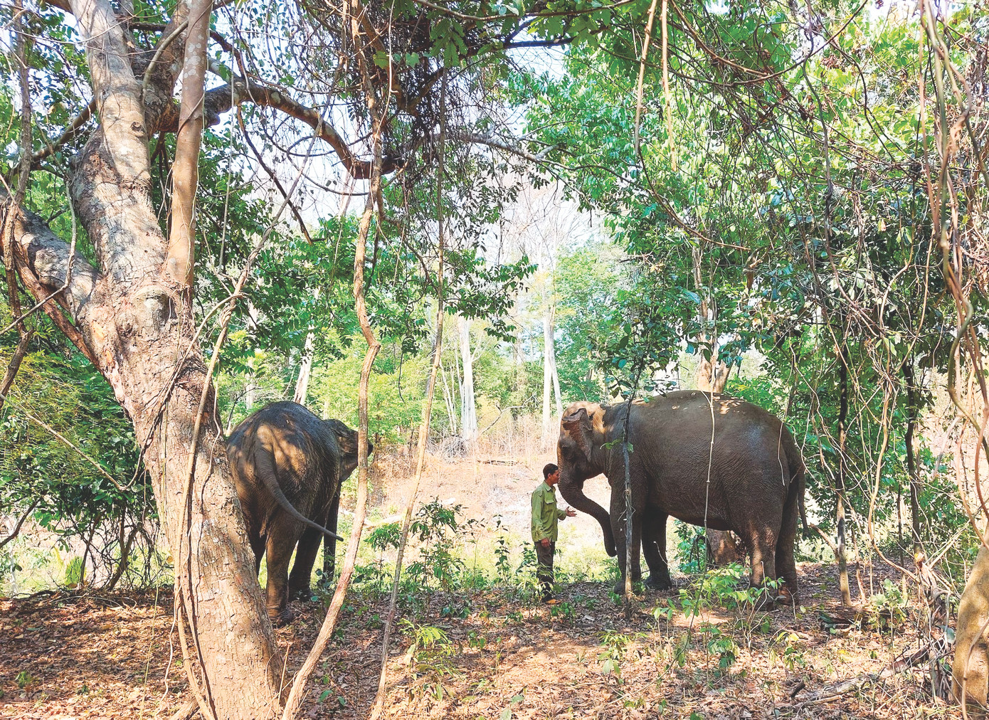 Mô hình du lịch thân thiện thu hút nhiều đoàn du khách.