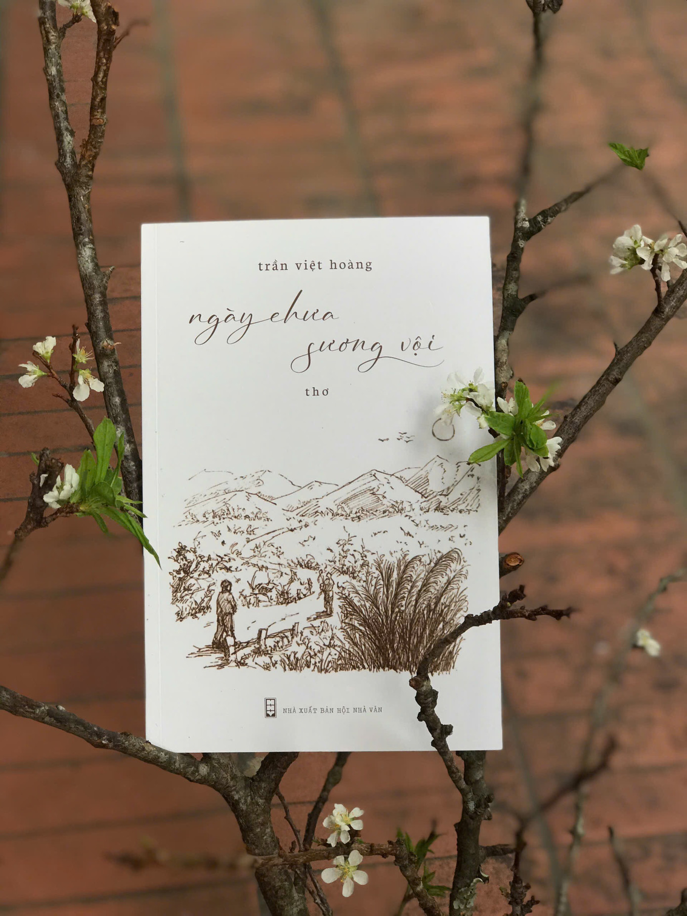 Tập thơ “Ngày chưa sương vội” Tập thơ “Ngày chưa sương vội”