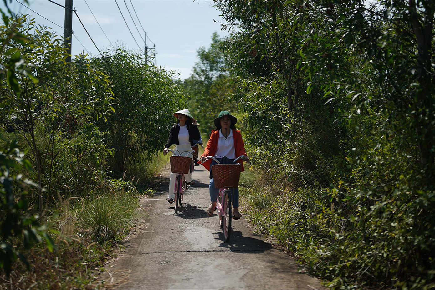 Khu dân cư ấp Thiềng Liềng có giá đất thấp nhất TPHCM theo bảng giá đất mới với 2,3 triệu đồng/m2. Ảnh: Phạm Nguyễn Khu dân cư ấp Thiềng Liềng có giá đất thấp nhất TPHCM theo bảng giá đất mới với 2,3 triệu đồng/m2. Ảnh: Phạm Nguyễn