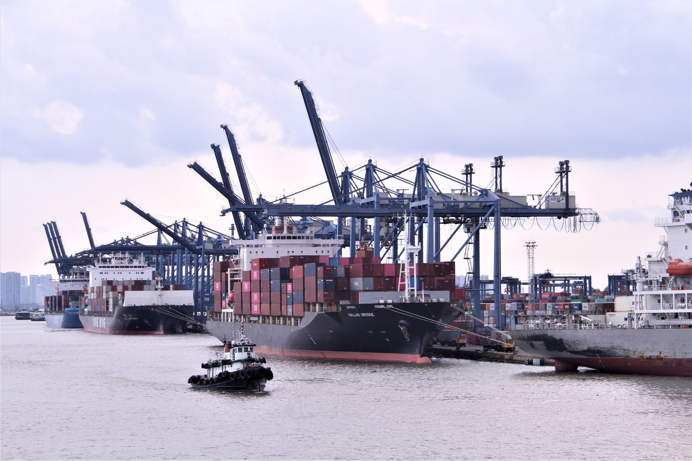 Tàu xếp dỡ hàng hóa tại Cảng Cát Lái (TPHCM). Ảnh: Đại Dương