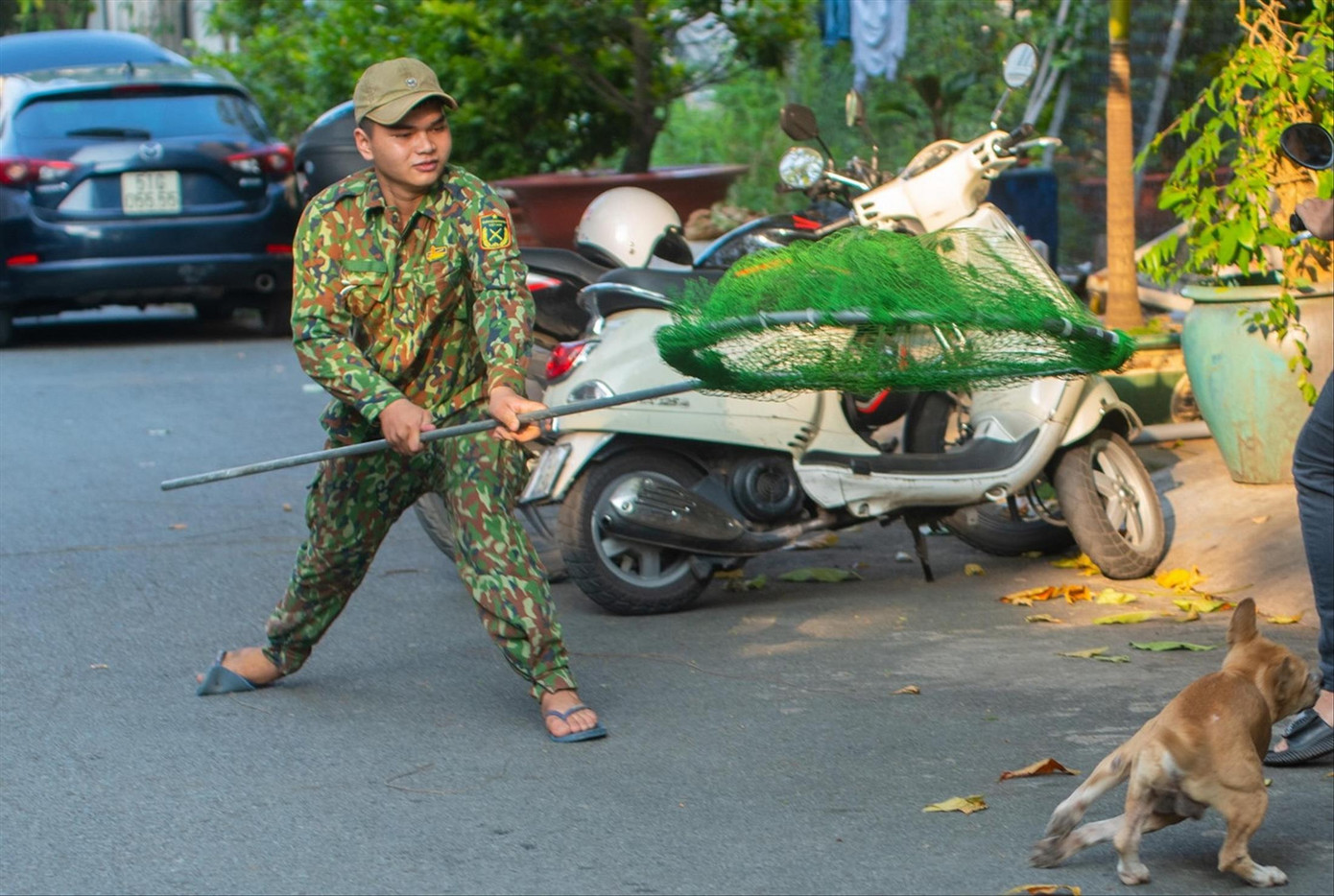 Đội bắt chó thả rông phường Hiệp Bình Chánh (TP Thủ Đức) trong một lần ra quân bắt chó thả rông. Ảnh tư liệu: Hữu Hướng Đội bắt chó thả rông phường Hiệp Bình Chánh (TP Thủ Đức) trong một lần ra quân bắt chó thả rông. Ảnh tư liệu: Hữu Hướng