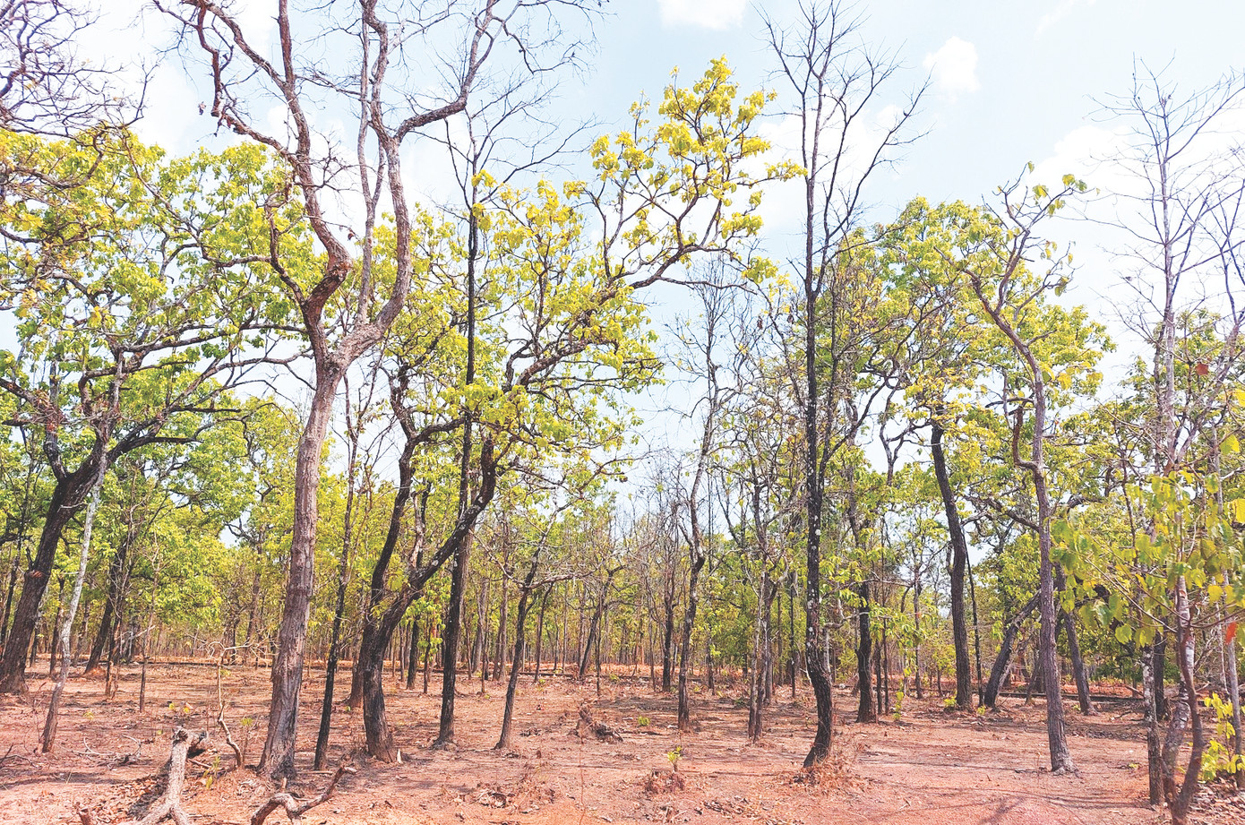 VQG Yok Đôn có hệ động thực vật phong phú.