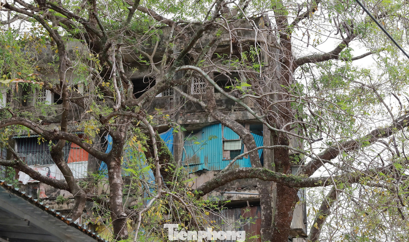 Theo quan sát của phóng viên, hầu hết các bức tường bên ngoài toà nhà bao phủ bởi rêu mốc. Cột trụ, lan can nhiều chỗ nứt toác, bong tróc, lộ cả sắt thép hoen rỉ bên trong.