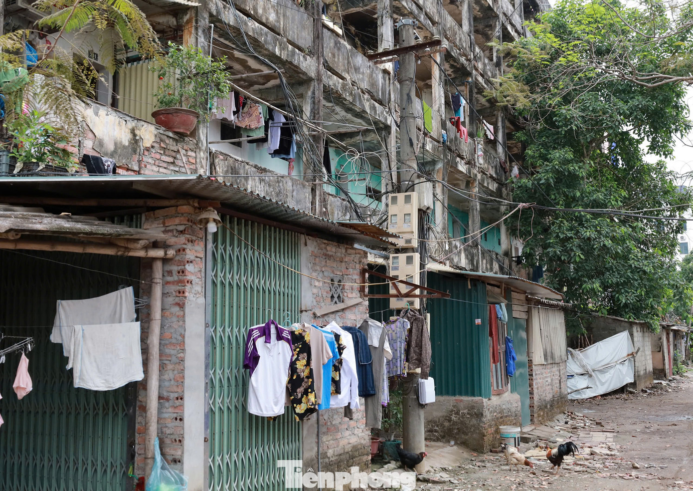 Đường vào khu nhà nhếch nhác, đối lập với những phần còn lại của con phố sầm uất, bên sông Đà.