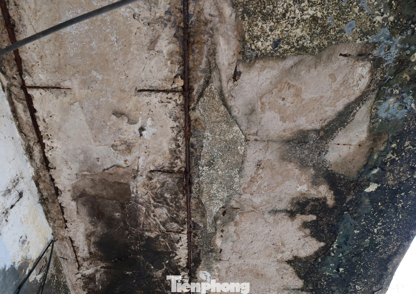 Theo người dân ở đây, các hộ đều muốn chuyển đi, nhưng chủ đầu tư dự án nhà ở thương mại là Công ty CP đầu tư phát triển và xây dựng Sao Vàng và người dân chưa thống nhất được phương án bồi thường.