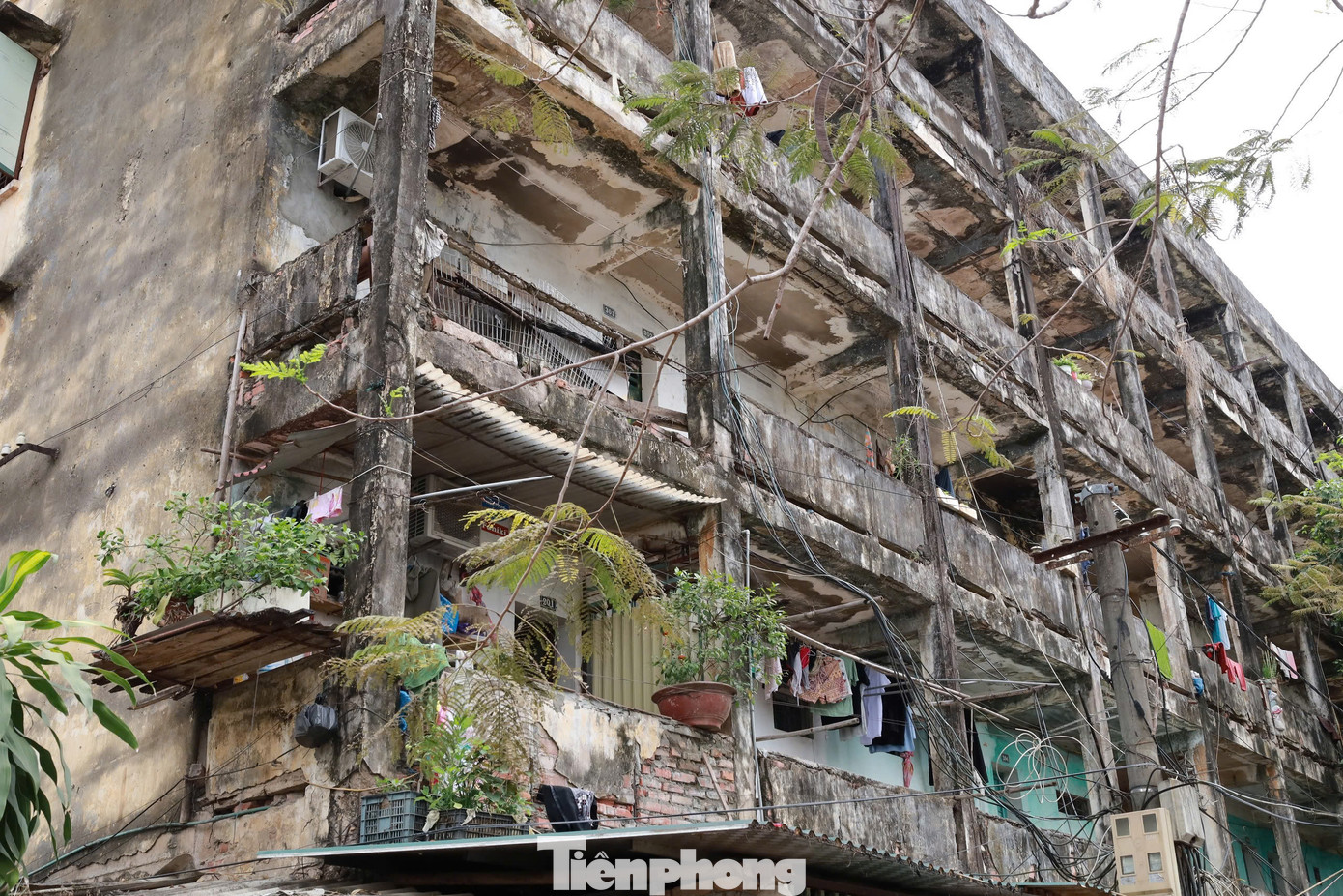 Tường, hành lang, trần nhà bị bong tróc.