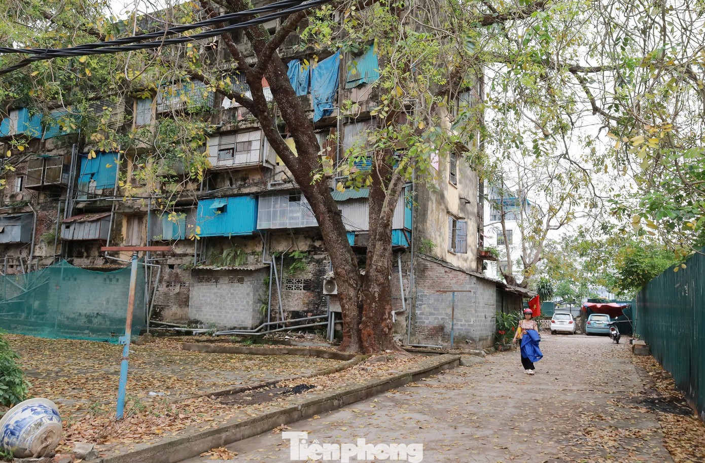 Theo quan sát của phóng viên, hầu hết các bức tường bên ngoài toà nhà bao phủ bởi rêu mốc. Cột trụ, lan can nhiều chỗ nứt toác, bong tróc, lộ cả sắt thép hoen rỉ bên trong.