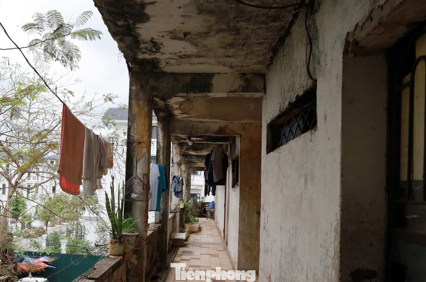 Theo người dân ở đây, các hộ đều muốn chuyển đi, nhưng chủ đầu tư dự án nhà ở thương mại là Công ty CP đầu tư phát triển và xây dựng Sao Vàng và người dân chưa thống nhất được phương án bồi thường.