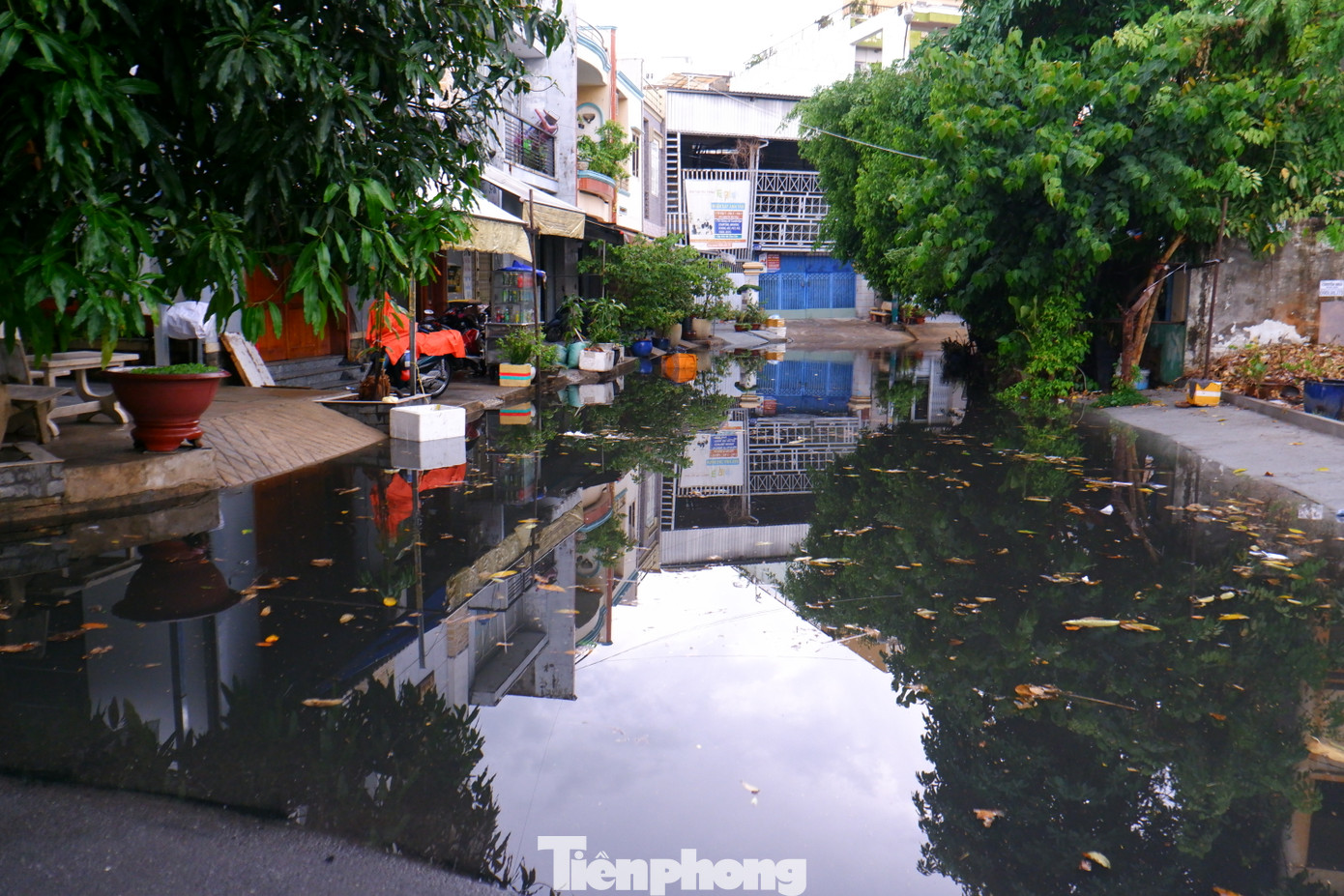 Ngoài TP. Thủ Đức, theo ghi nhận của PV, trong chiều 20/5, mưa lớn còn gây ngập cho nhiều khu vực tại huyện Bình Chánh, quận 8, quận Bình Tân. Trong ảnh: Một khu dân cư tại quận Bình Tân ngập sâu sau cơn mưa. Ngoài TP. Thủ Đức, theo ghi nhận của PV, trong chiều 20/5, mưa lớn còn gây ngập cho nhiều khu vực tại huyện Bình Chánh, quận 8, quận Bình Tân. Trong ảnh: Một khu dân cư tại quận Bình Tân ngập sâu sau cơn mưa.