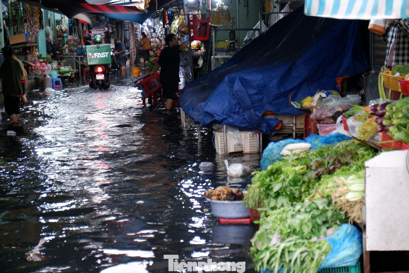 Nước ngập gây khó khăn cho việc kinh doanh của các tiểu thương trên đường Hồ Học Lãm (quận Bình Tân). Nước ngập gây khó khăn cho việc kinh doanh của các tiểu thương trên đường Hồ Học Lãm (quận Bình Tân).