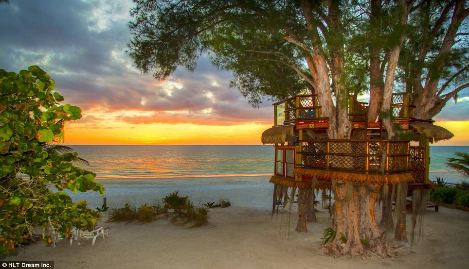 Một ngôi nhà khác được quấn quanh cây