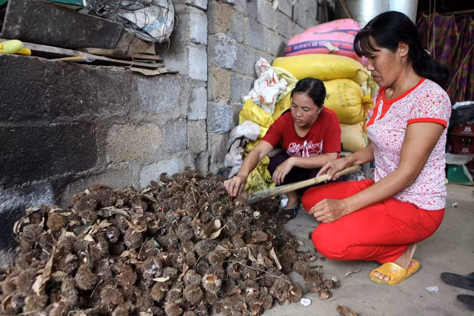 Thơm ngậy hạt dẻ Trùng Khánh ảnh 5