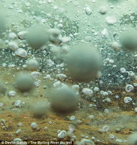 Hành trình đi tìm dòng sông nước nóng huyền bí giữa lòng Amazon ảnh 1