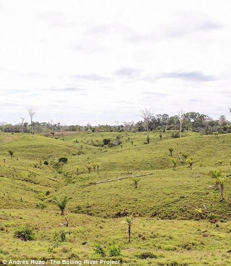 Hành trình đi tìm dòng sông nước nóng huyền bí giữa lòng Amazon ảnh 9