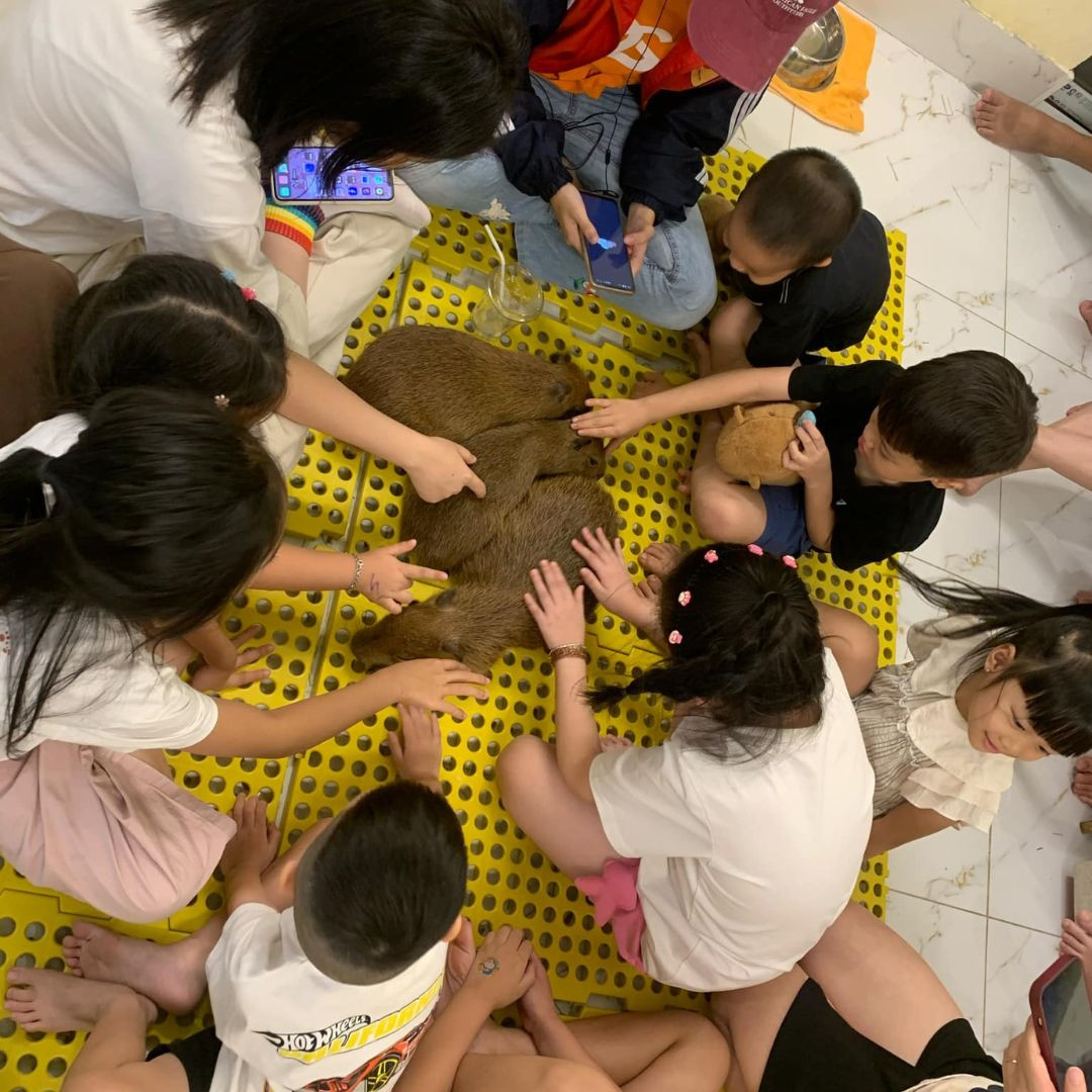 Khách hàng được trải nghiệm chạm vào “idol” bằng xương bằng thịt.