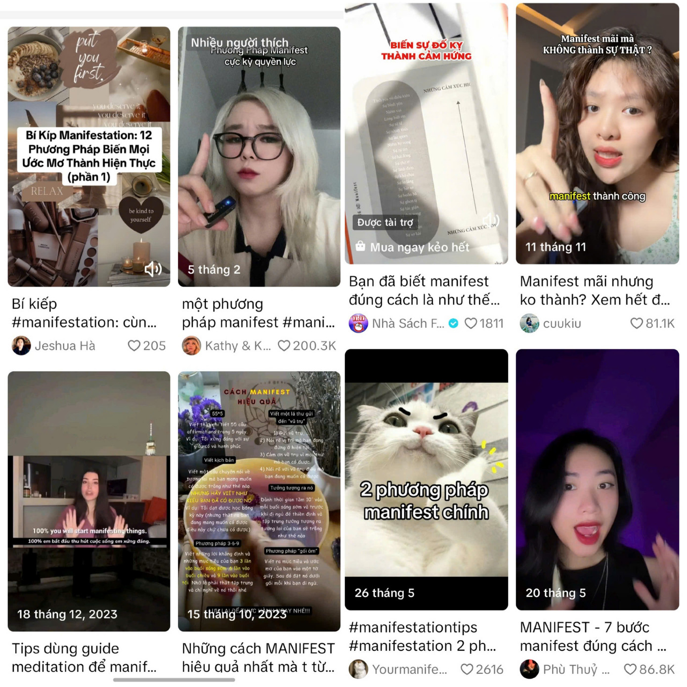 Các video hướng dẫn manifesting ngập tràn trên nền tảng TikTok. (Ảnh chụp màn hình)