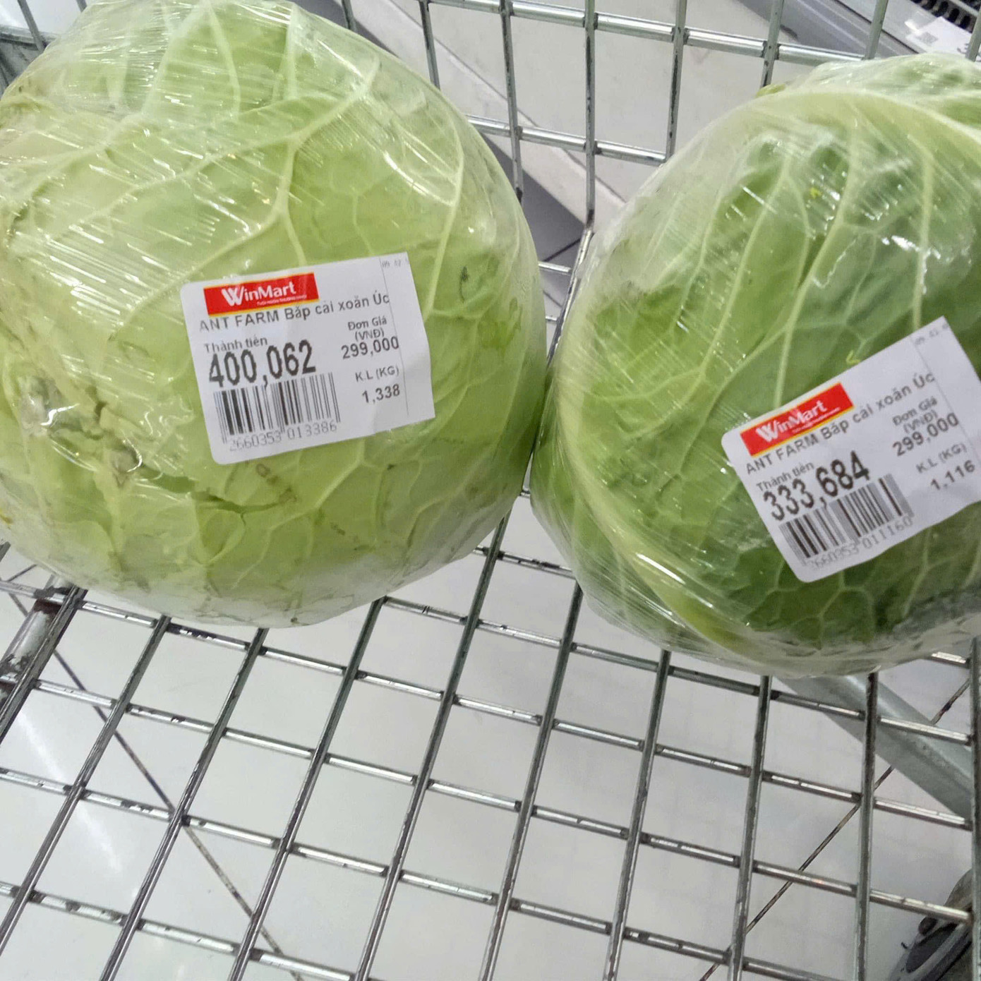 Giá rau xanh trong các siêu thị dù bình ổn nhưng cũng tăng nhẹ. (Ảnh: NVCC)