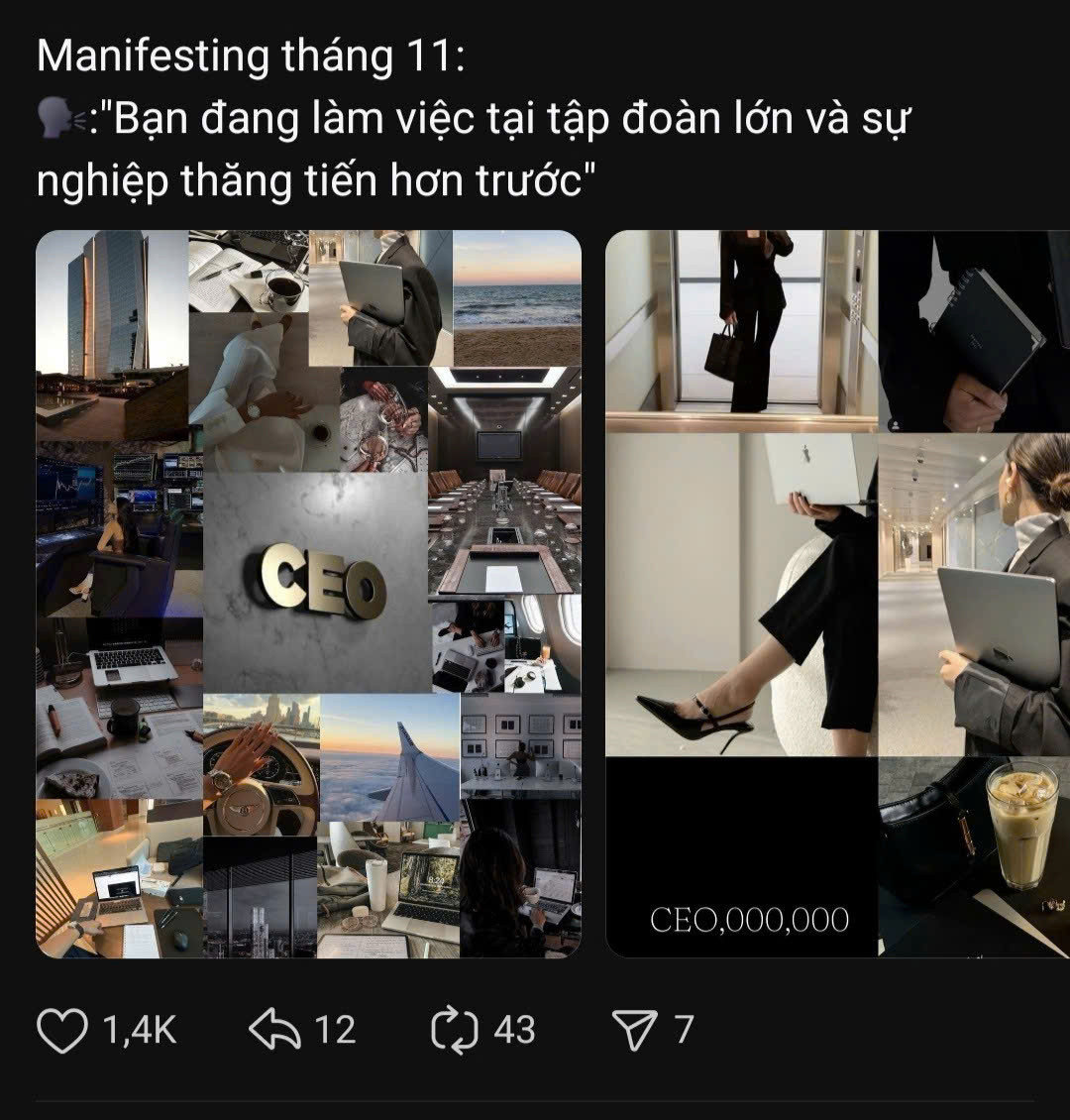 Những bài đăng manifesting thu hút nhiều lượt tương tác. (Ảnh chụp màn hình)