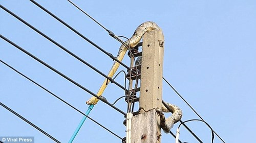 Video hot: Siêu trộm trùm áo mưa đột nhập công ty bị bắt quả tang ảnh 5