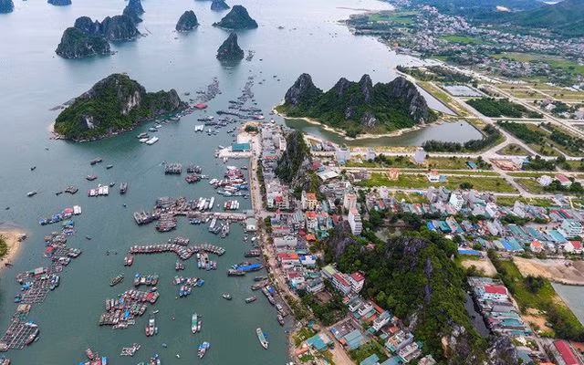 'Sốt' đất đi qua, loạt dự án bỏ hoang ở Vân Đồn bị thu hồi ảnh 1