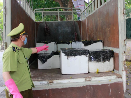 Xe tải chở gà lậu, nội tạng hôi thối bị công an phát hiện, tạm giữ