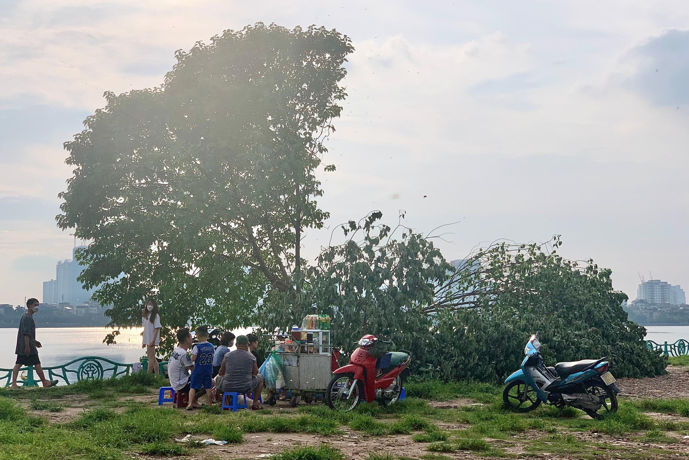 Trưa nay (15/6), mạng xã hội xôn xao trước hình ảnh, thông tin cây "cô đơn" tại Hồ Tây bị gãy đổ, nghi bị chặt hạ. Sau đó qua kiểm tra thực tế, từ những dấu vết trên thân cây, bước đầu lực lượng chức năng xác định cây bị chặt phá trong đêm chứ không phải gãy đổ do ảnh hưởng của thời tiết.