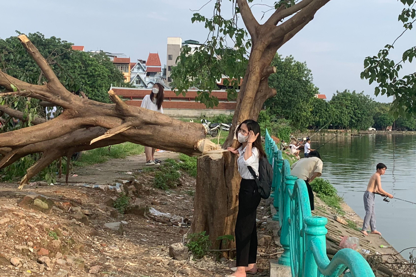 Nhiều người dân Thủ đô xót xa trước hình ảnh cây cô đơn bị chặt hạ.