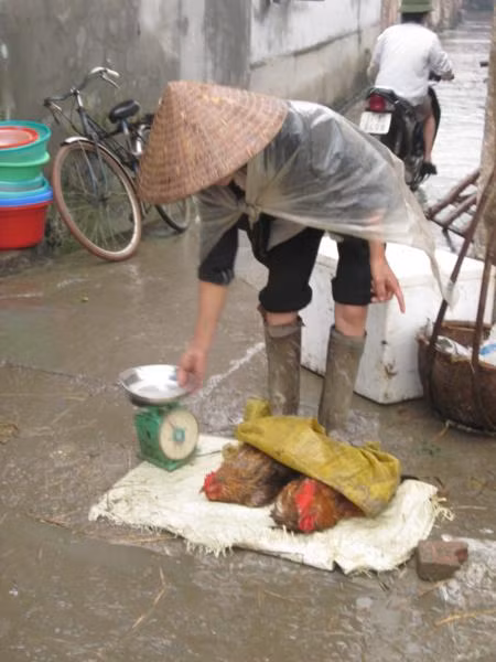 Hàng gà quê ở một góc nhỏ cuối chợ ngày tết