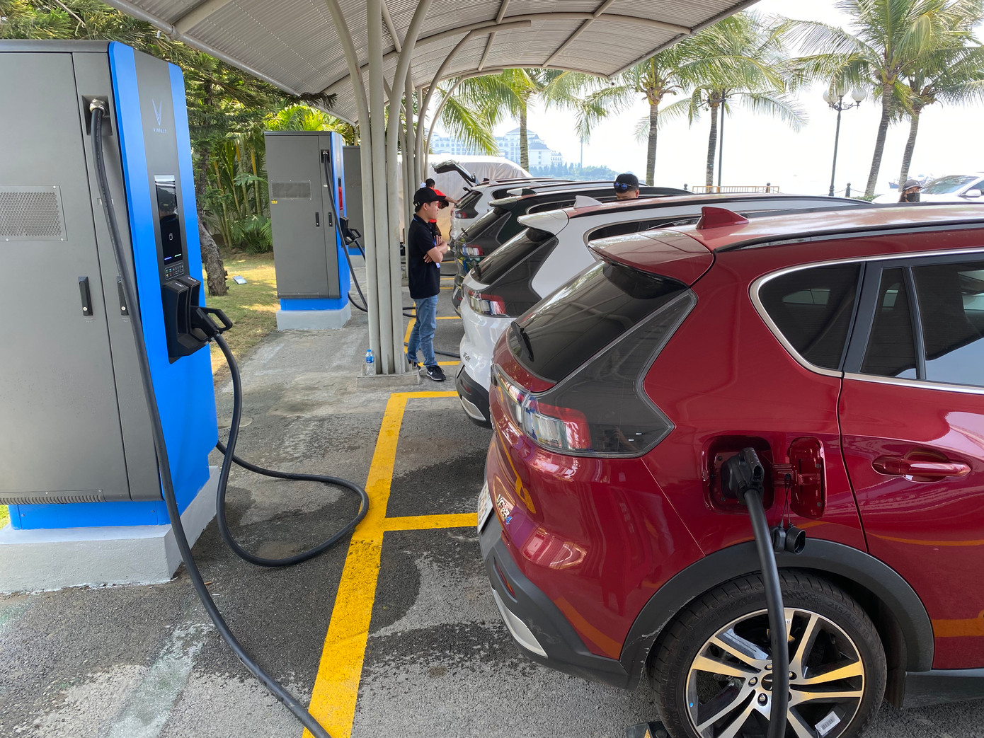 Bộ Tài chính từ chối đề xuất ưu đãi cho xe ô tô điện. (Ảnh minh họa: ST).