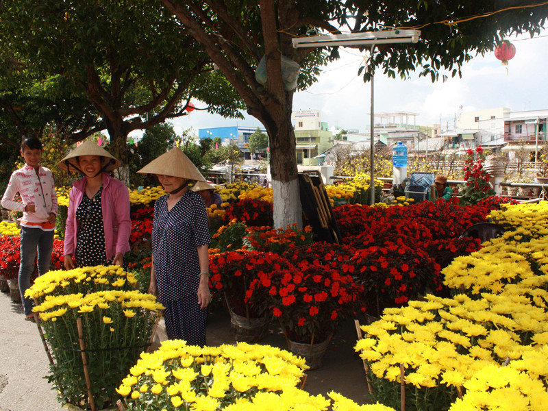 Chợ hoa Tết tại Cần Thơ