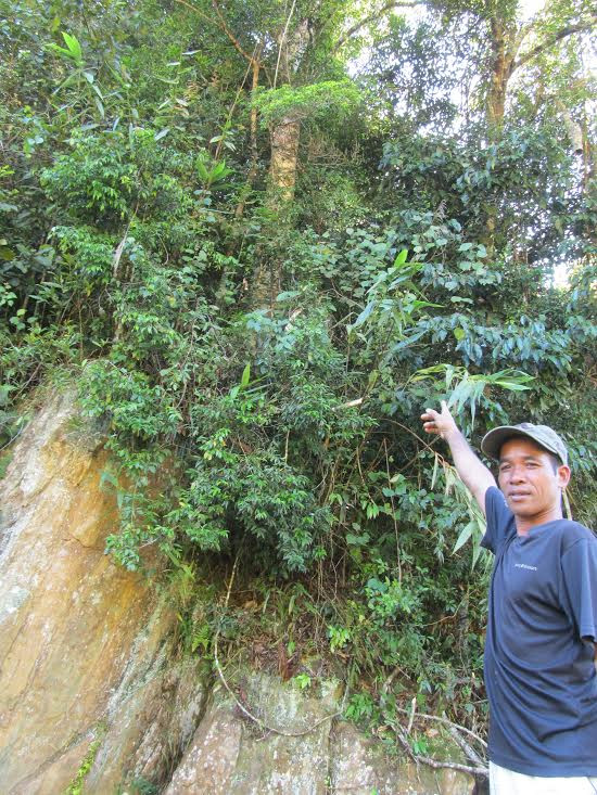 Kỳ bí văn tự cổ trên vách đá giữa đại ngàn Trường Sơn ảnh 5