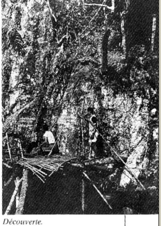 Kỳ bí văn tự cổ trên vách đá giữa đại ngàn Trường Sơn ảnh 1