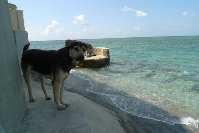 Cảnh giới ven bờ đá