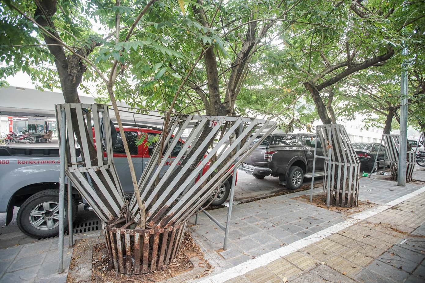 Trao đổi với Tiền Phong, đại diện Trung tâm Quản lý hạ tầng kỹ thuật (Sở Xây dựng Hà Nội) cho biết, đã cho lực lượng tiến hành kiểm tra và lập biên bản hiện trường. Sau khi kiểm tra cụ thể tình trạng của từng cây sưa đỏ trên đường Nguyễn Văn Huyên sẽ có giải pháp khắc phục. Trung tâm Quản lý hạ tầng kỹ thuật sẽ cùng Công ty Công viên cây xanh Hà Nội cắt tỉa các cành sưa khô và sẽ cắt bỏ phần lồng sắt để đảm bảo cây được sinh trưởng và phát triển bình thường.