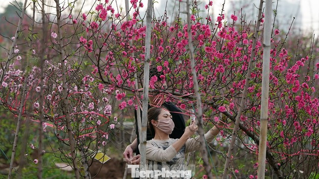 Nếu được Thủ tướng chấp thuận phương án do Bộ LĐ-TB&amp;XH đề xuất thì Tết Âm lịch 2025 công chức, viên chức sẽ được nghỉ 9 ngày.