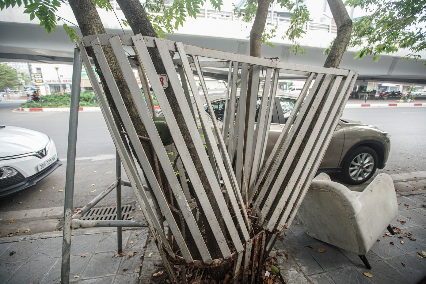 "Chất lượng của cây phải đo đạc mới đánh giá được, tuy nhiên nhìn qua có thể thấy phần thân và cành đều có dấu hiệu bong tróc", ông H. (Cầu Giấy, Hà Nội) cho biết.