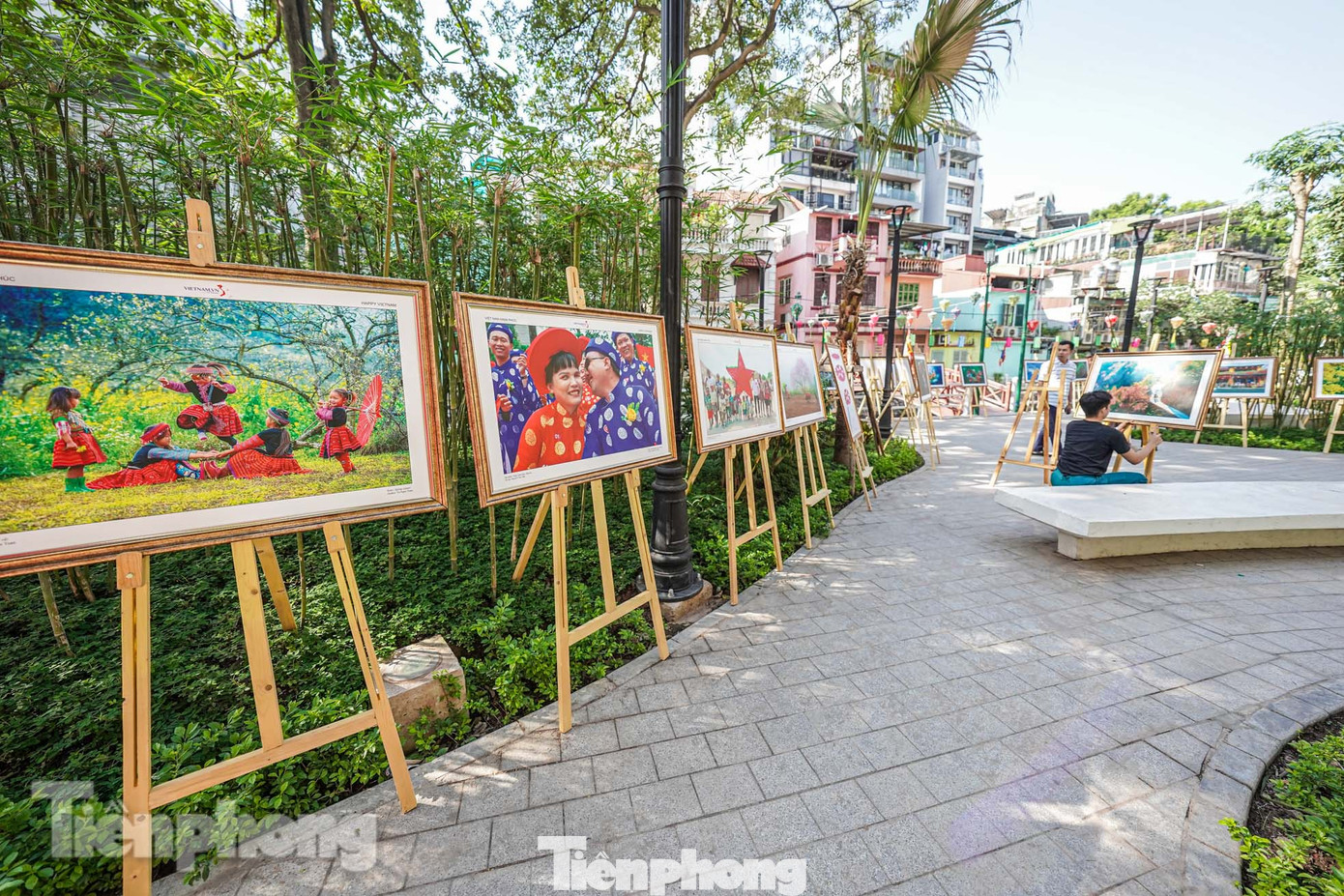 Triển lãm tranh được trưng bày trong không gian.