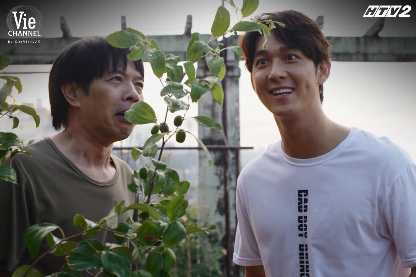 Cây táo mà Ngọc chăm sóc bao lâu cuối cùng cũng đã nở hoa Cây táo mà Ngọc chăm sóc bao lâu cuối cùng cũng đã nở hoa