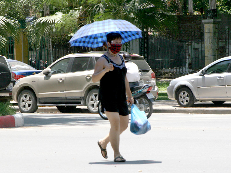 Mệt mỏi vì nắng nóng ảnh 8