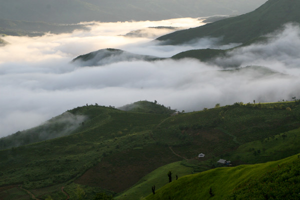 Màn sương ôm ấp những ngọn núi vào buổi sáng khi mặt trời chưa mọc