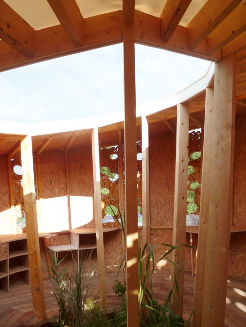 Bên trong ngôi nhà còn có những cây cỏ