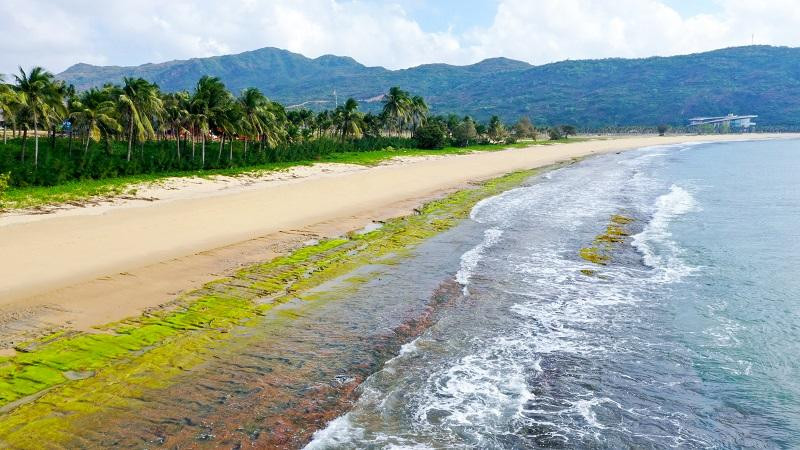 Thiên nhiên ưu ái cho bán đảo Hải Giang vẻ đẹp hiếm có.